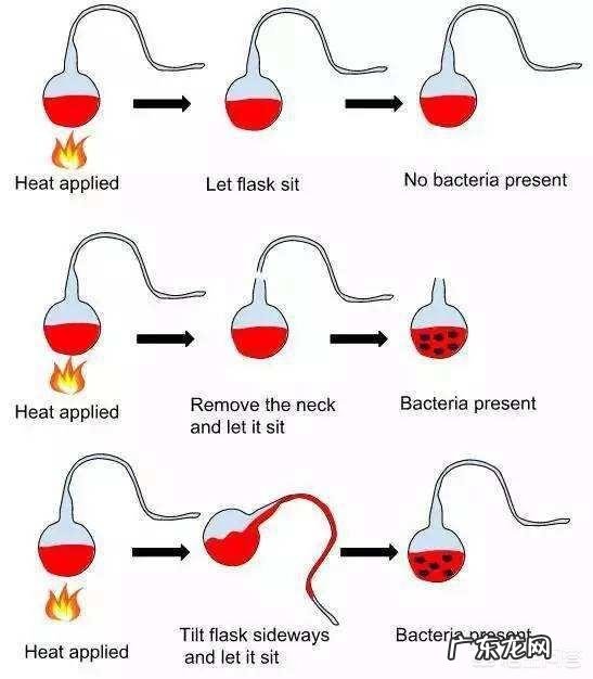 地球上第一个生物是怎么诞生的?