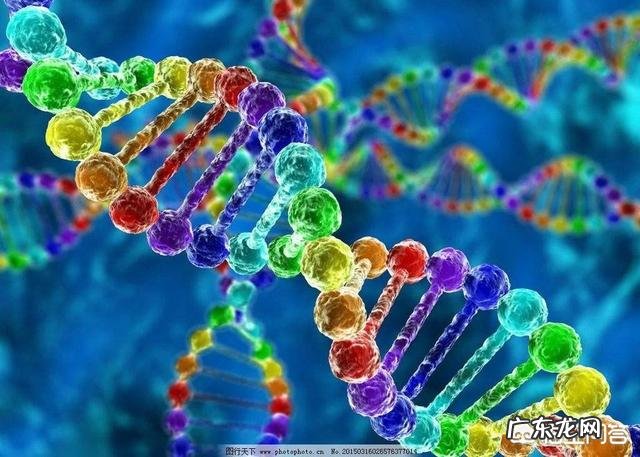 地球上第一个生物是怎么诞生的?