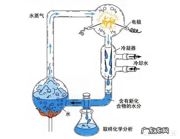 地球上第一个生物是怎么诞生的?
