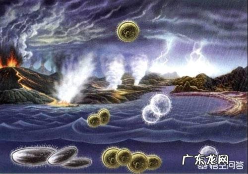 地球上第一个生物是怎么诞生的?