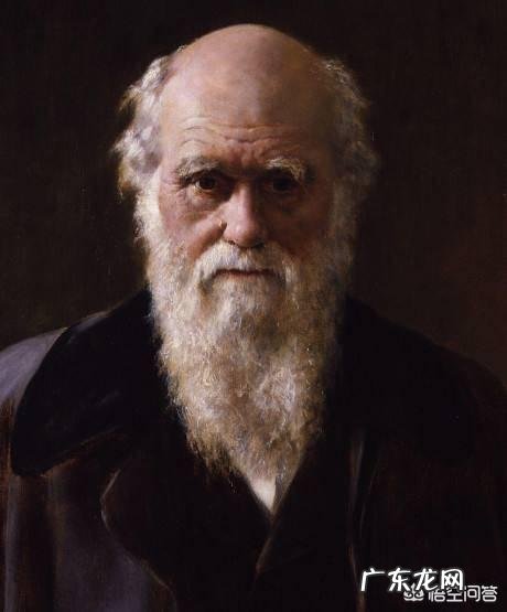 地球上第一个生物是怎么诞生的?