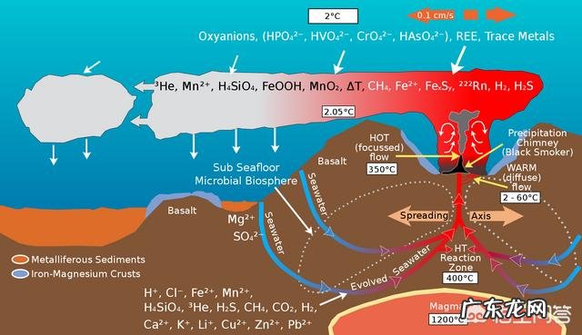 地球上第一个生物是怎么诞生的?