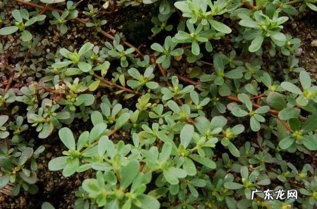 夜间睡觉爱出汗有哪些原因呢?