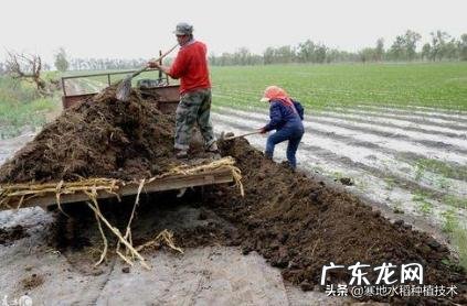 什么有机肥里含氮最多,有何推荐?