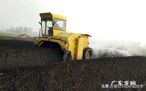 什么有机肥里含氮最多,有何推荐?