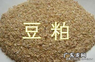 什么有机肥里含氮最多,有何推荐?
