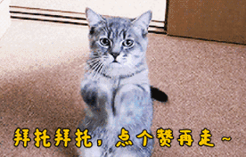 Doinb这下玩大了,被呆妹怒喷,还卑微道歉,引发双方粉丝互撕,你有何看法?