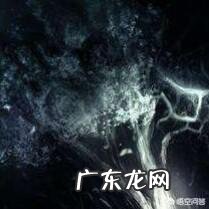 你眼中的中国人是什么样子的？