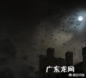 你眼中的中国人是什么样子的？