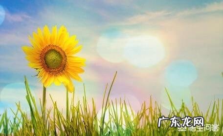 当你遇到难处的时候,心态如何调整?