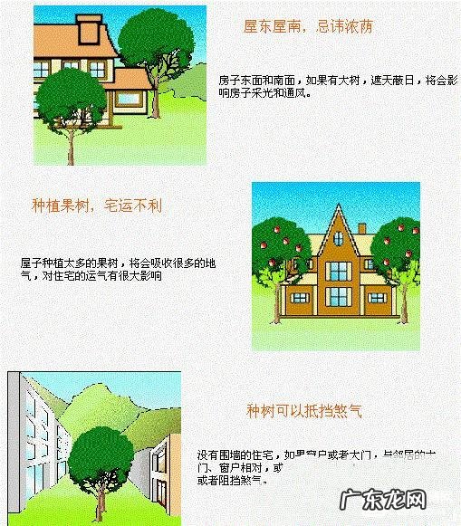 庭前种什么好?13图看懂农村住宅风水 农村做房子风水图