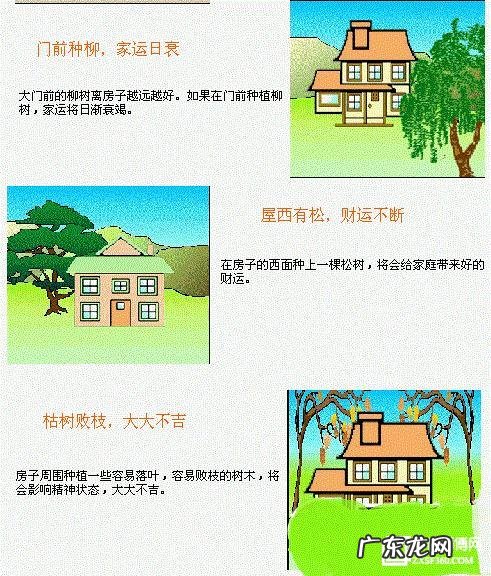 庭前种什么好?13图看懂农村住宅风水 农村做房子风水图