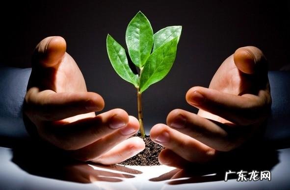 一个穷二代如何成功?