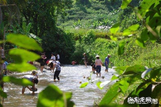 瑞丽瑞丽好玩的地方?