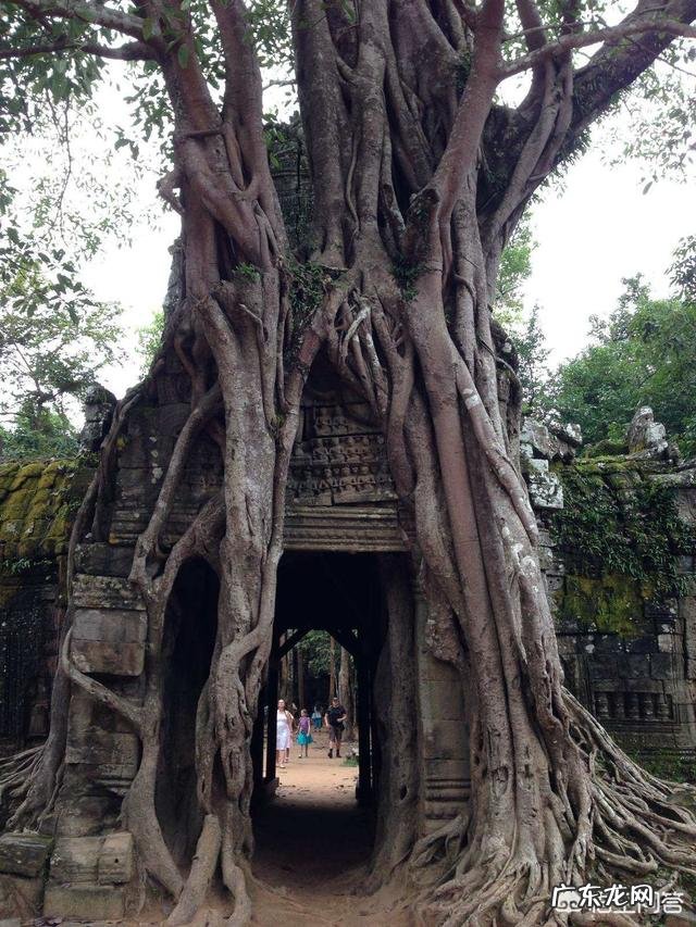 瑞丽瑞丽好玩的地方?