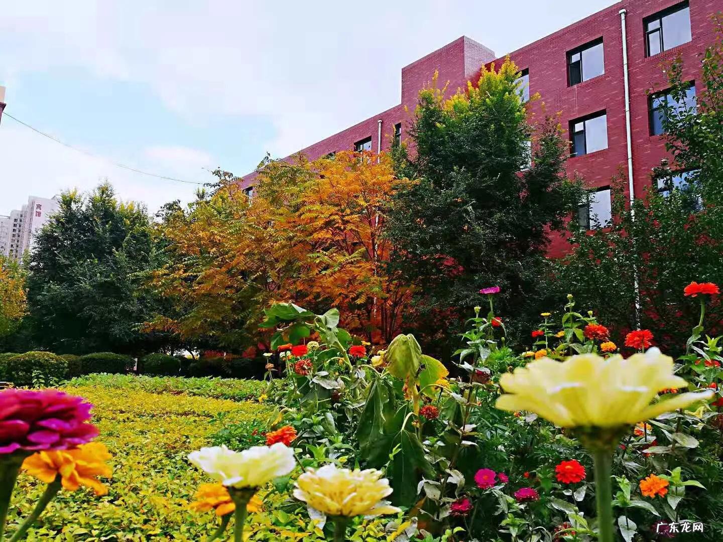 中外合作办学吉林莱姆顿学院 江南大学莱姆顿学院