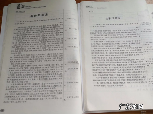 中考零分作文 中考0分作文事件