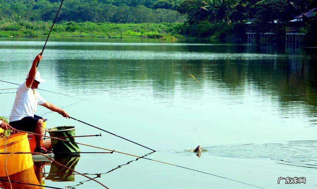 夏季野钓实用技巧