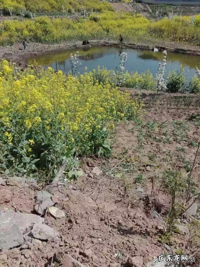 在农村有一句谚语踹寡妇门,挖绝户坟。是说的什么?