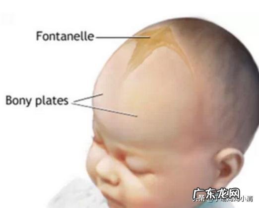 宝宝七个月前囟门就闭合,这正常吗?