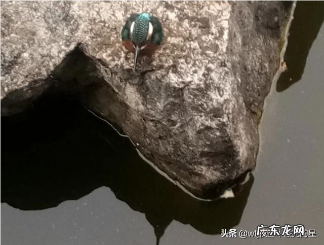 你读过最美的关于秋的散文,有什么推荐?