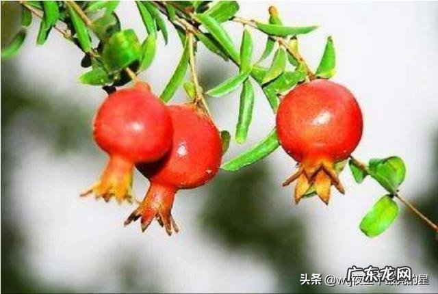 你读过最美的关于秋的散文,有什么推荐?