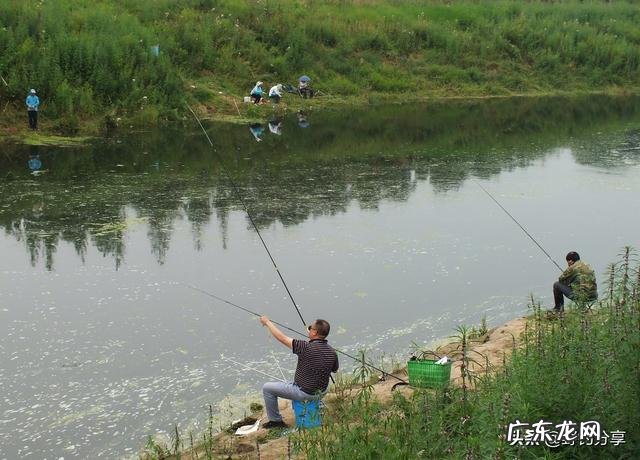 知道很多鱼在河里，却不吃饵怎么办？