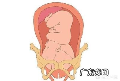 令人紧张的胎儿入盆,胎儿头大会影响入盆吗?