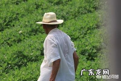 农村老俗话“大暑小暑,上蒸下煮”,说的是做饭还是其他什么?