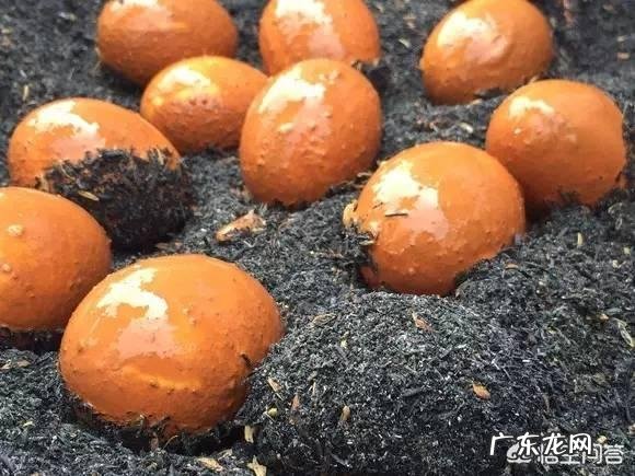 马上要到端午节了,为什么城里面的人都跑到农村去买草木灰呢?买草木灰有什么用处呢?