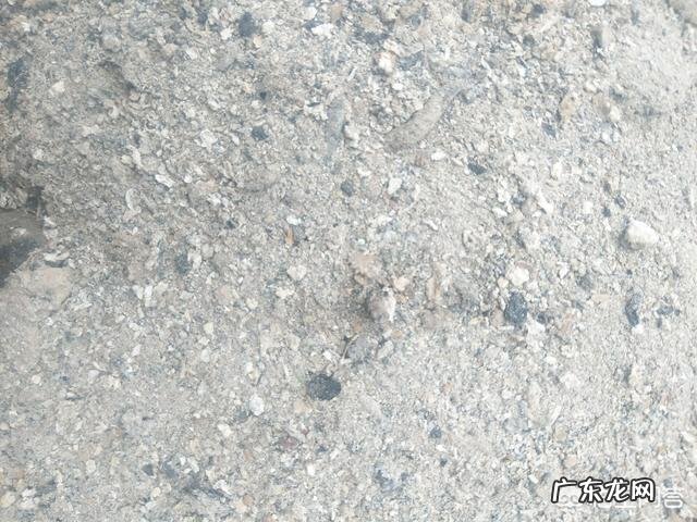 马上要到端午节了,为什么城里面的人都跑到农村去买草木灰呢?买草木灰有什么用处呢?