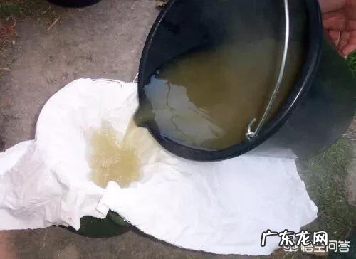 马上要到端午节了,为什么城里面的人都跑到农村去买草木灰呢?买草木灰有什么用处呢?