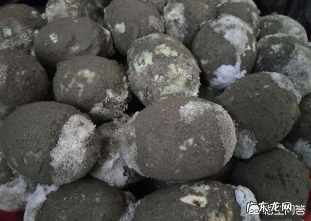 马上要到端午节了,为什么城里面的人都跑到农村去买草木灰呢?买草木灰有什么用处呢?