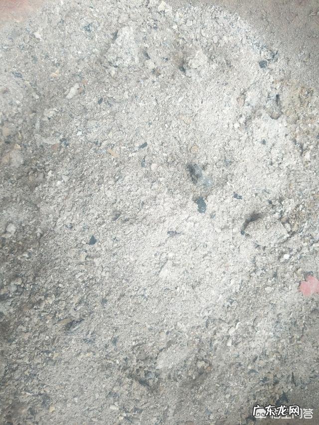 马上要到端午节了,为什么城里面的人都跑到农村去买草木灰呢?买草木灰有什么用处呢?