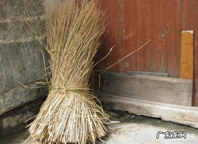 马上要到端午节了,为什么城里面的人都跑到农村去买草木灰呢?买草木灰有什么用处呢?