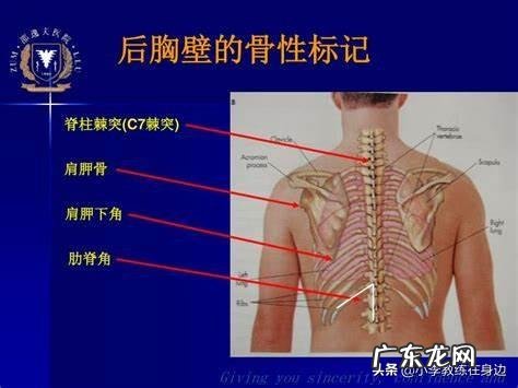 有哪些相见恨晚的运动常识?