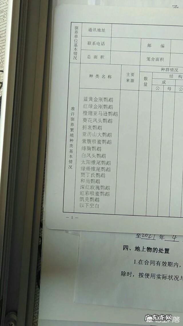 鹦鹉是国家保护动物吗?