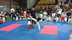 空手道、散打和泰拳,究竟哪个更猛?它能完败另外两个吗?