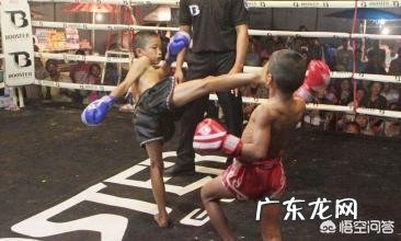 空手道、散打和泰拳,究竟哪个更猛?它能完败另外两个吗?