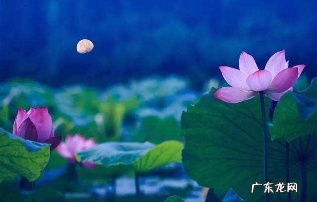 描写大自然的优美文章有哪些?