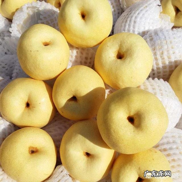 为什么今年的水果和蔬菜价格涨幅这么大？