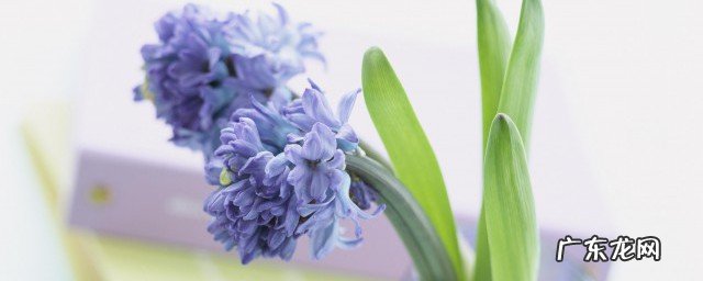 短句霸气激励人心押韵