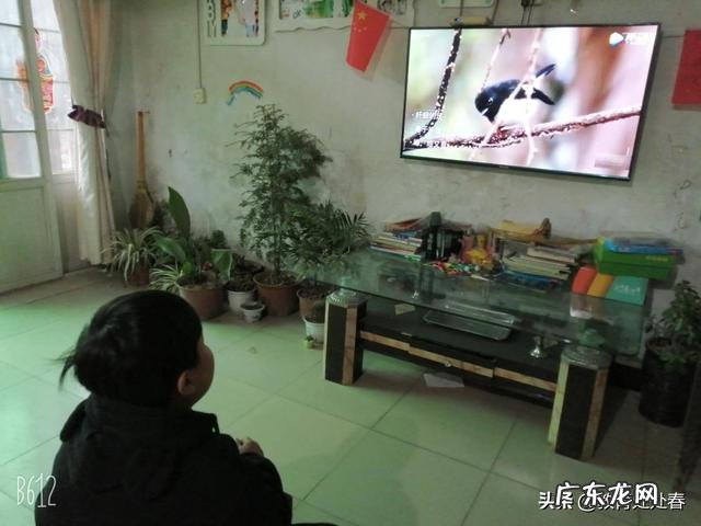 如果您的孩子厌学,一般您是怎么解决的?