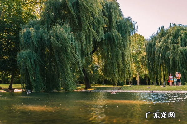 元宵节的古诗词有哪些 元宵节的诗词佳句有哪些