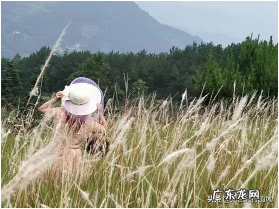 有哪些给新手教师的忠告?