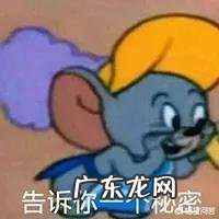 内双肿眼泡要怎么化妆才好看?