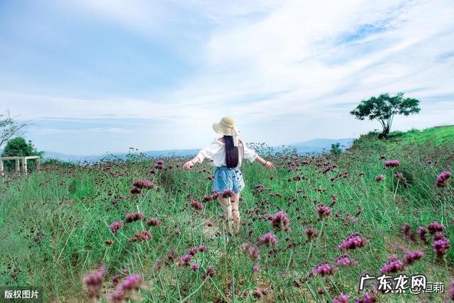 如果,一个人心累了,该咋办?