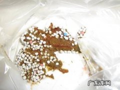 猫猫拉血是怎么了？