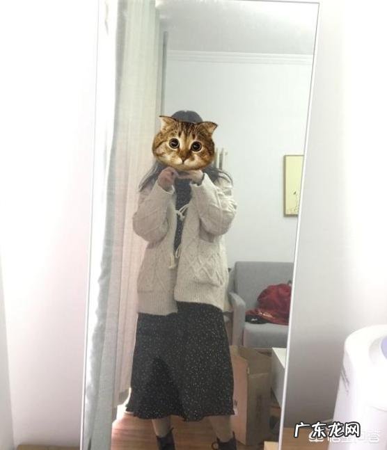 秋天有什么好看的裙子?