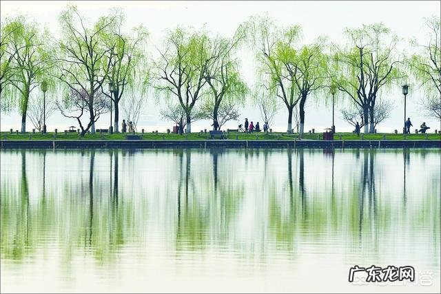 有哪些描写春天的诗句美文?